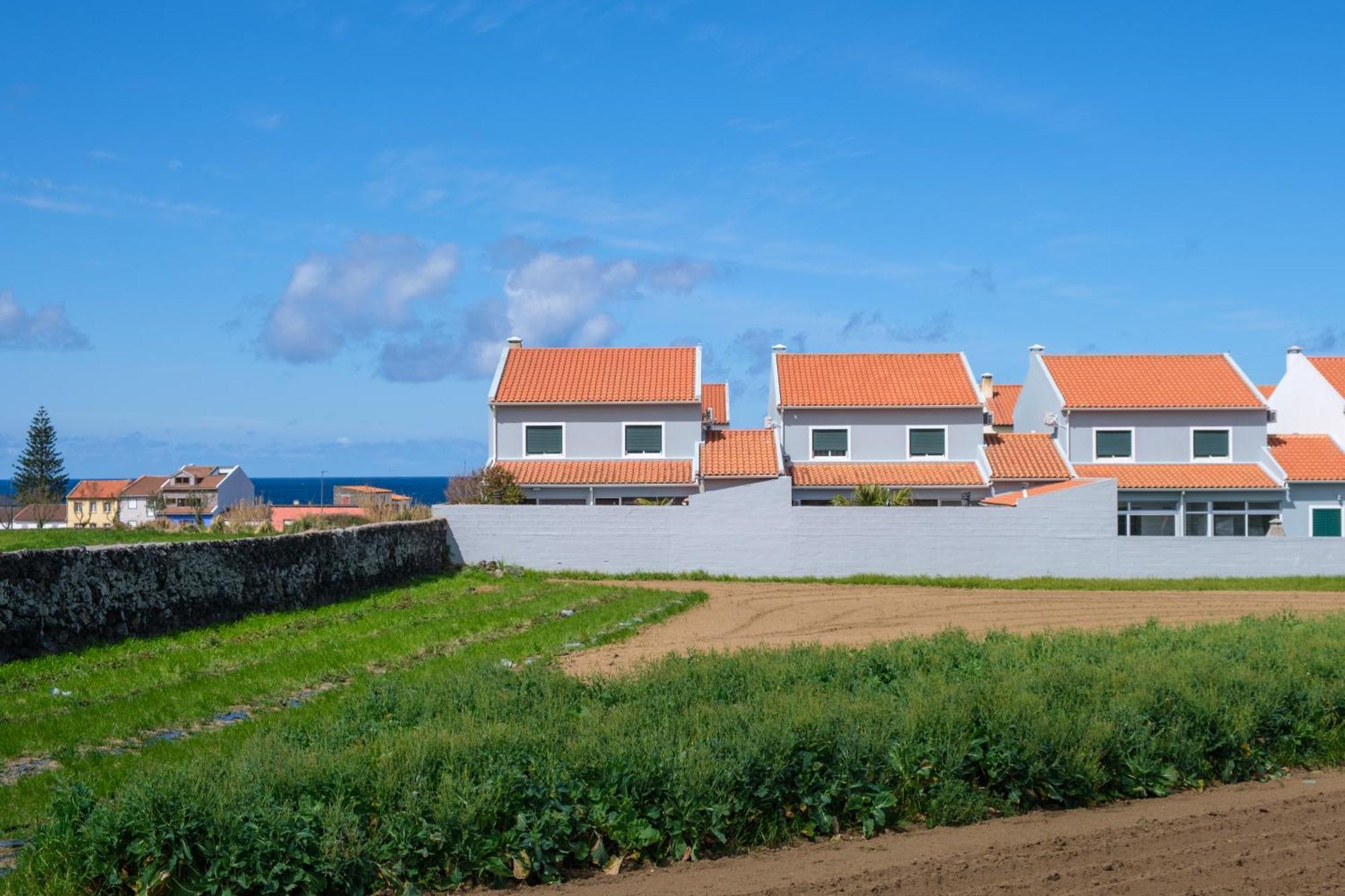 Bed and Breakfast Areal De Santa Barbara Sea View Рибейра-Гранди Экстерьер фото